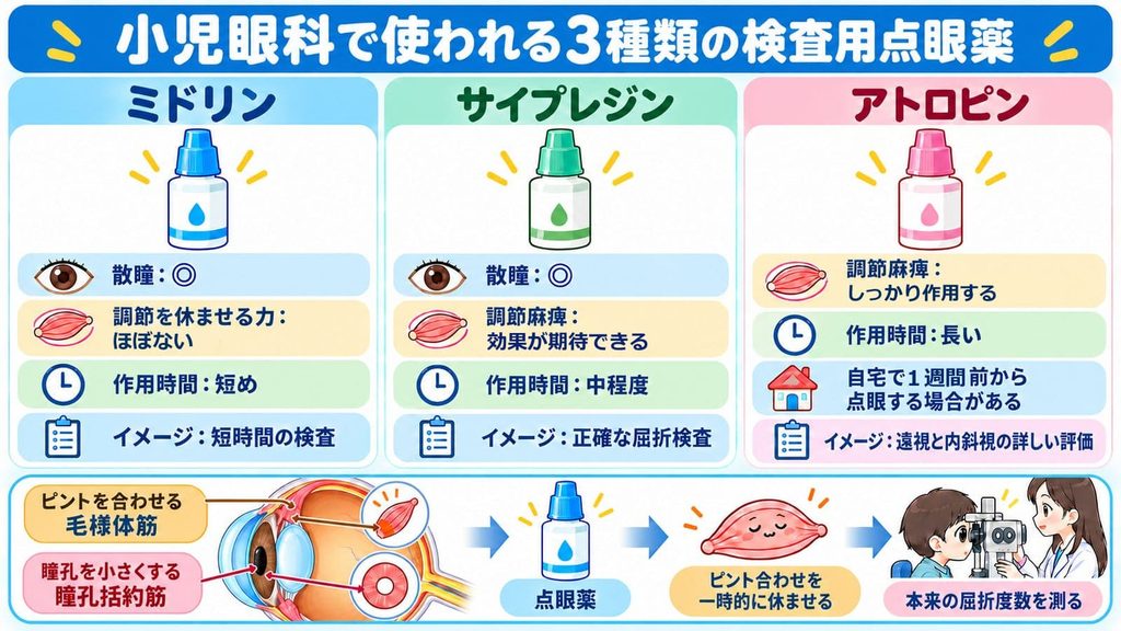 小児科で使われる検査点眼薬の説明の図